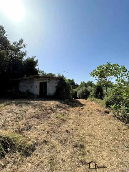 Villa in vendita a Poggio Catino - foto 2