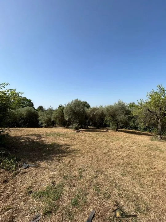 Villa in vendita a Poggio Catino - foto 5