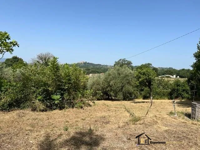 Villa in vendita a Poggio Catino - foto 7