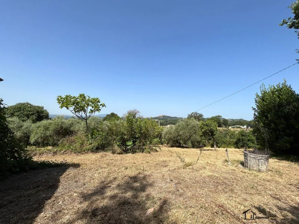 Villa in vendita a Poggio Catino - foto 9