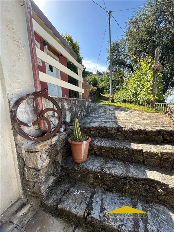 Casa indipendente in vendita a Seravezza - foto 4