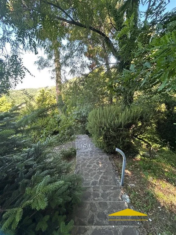 Casa indipendente in vendita a Seravezza - foto 5