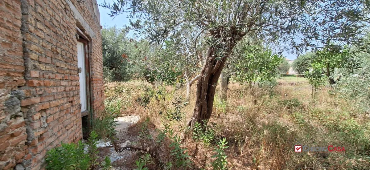 Rustico in vendita a Messina - foto 4