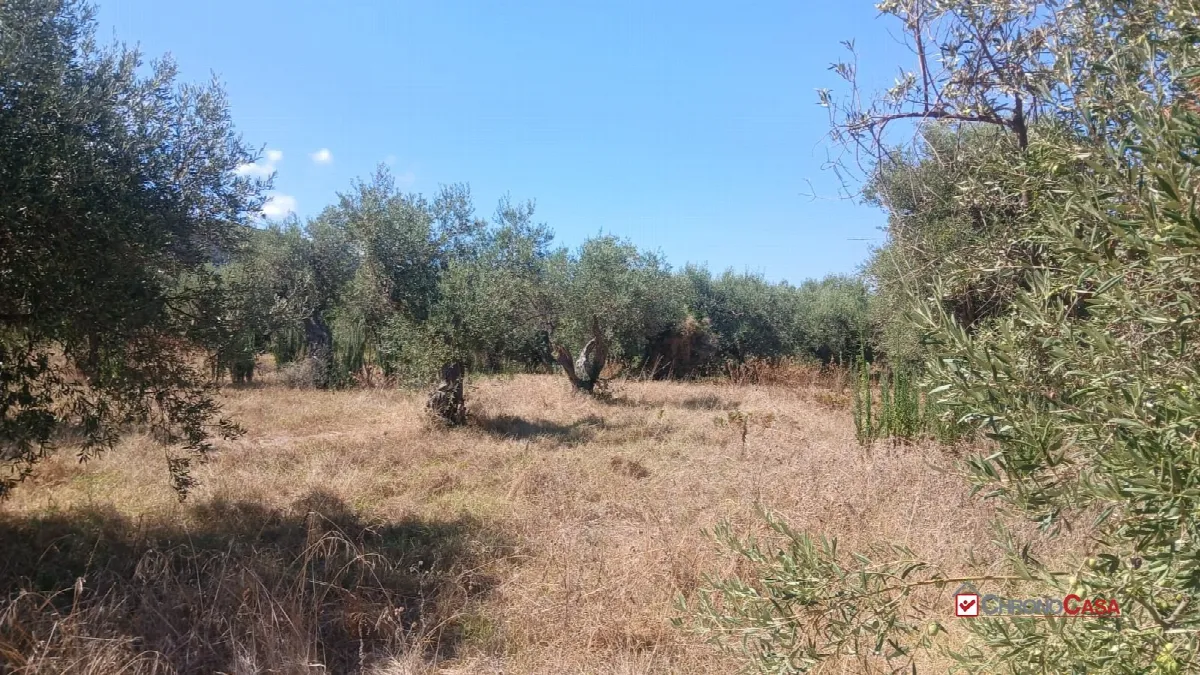Rustico in vendita a Messina - foto 7