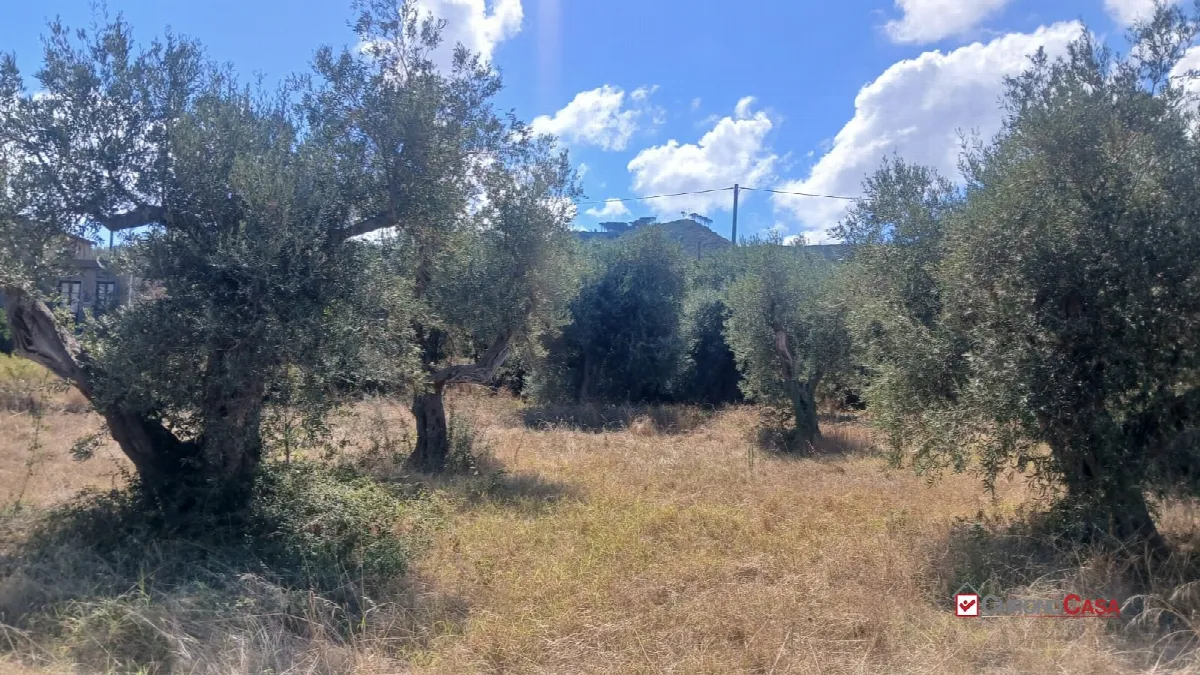 Rustico in vendita a Messina - foto 8