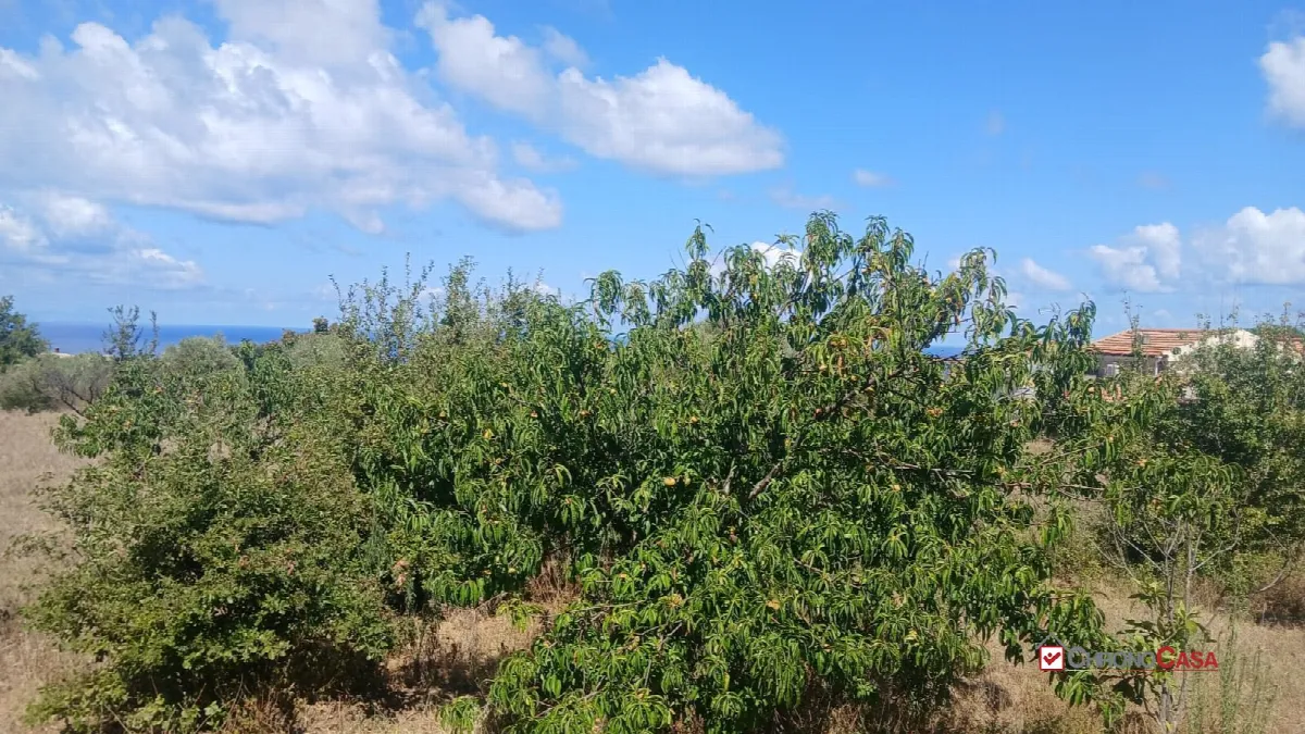Rustico in vendita a Messina - foto 9