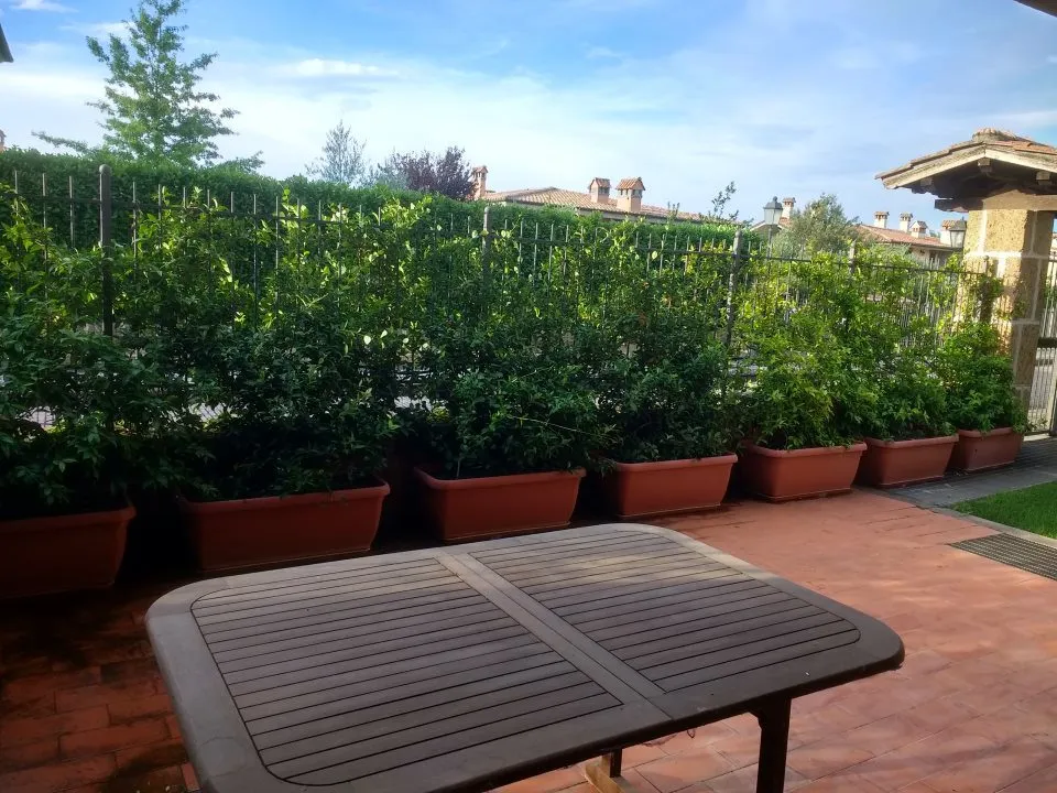 Appartamento in vendita a Monterosi - foto 6