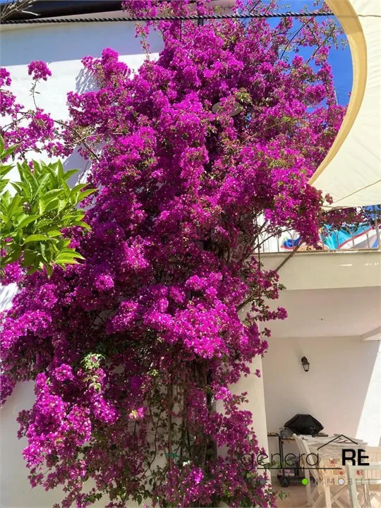Villa in vendita a San Vito Chietino - San Vito Marina - foto 3