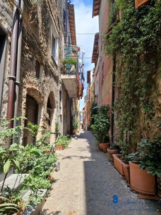 Rustico in vendita a Villanova d'Albenga - foto 8