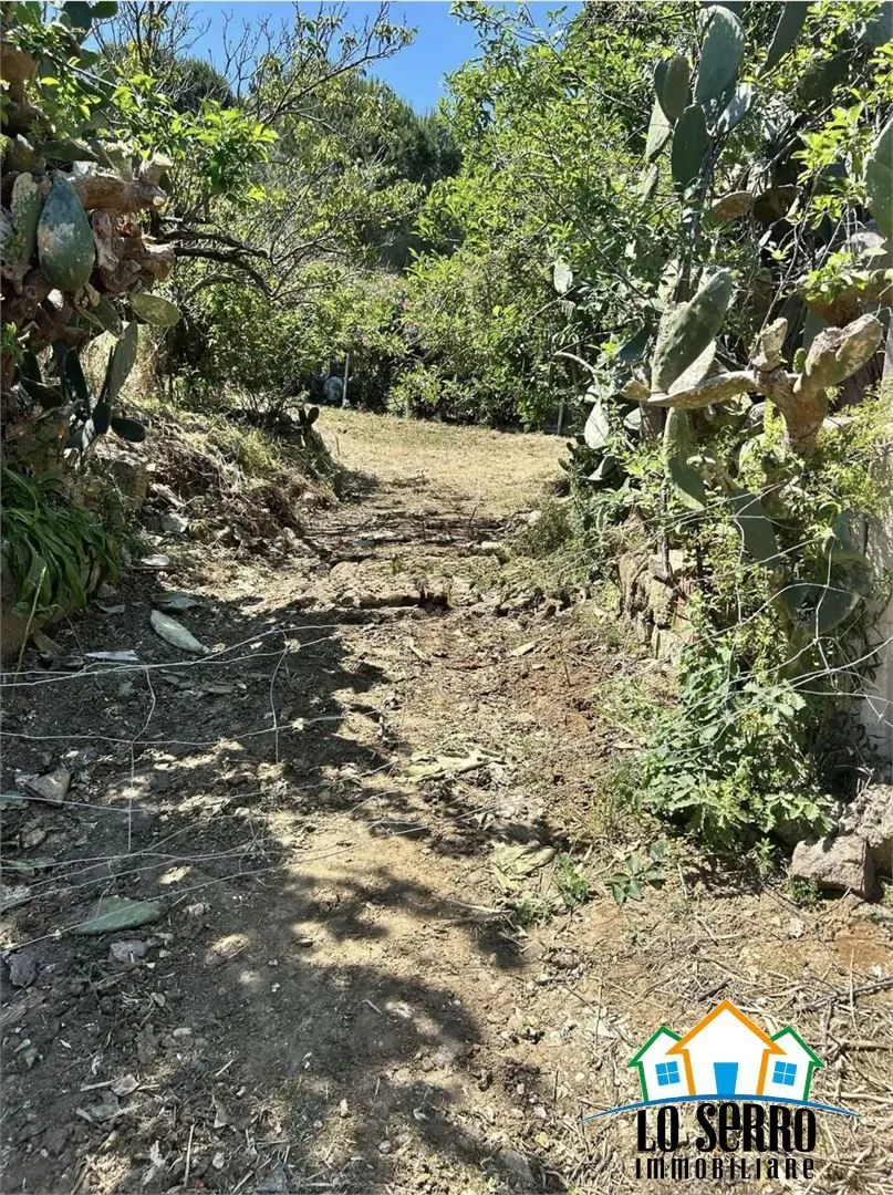 Rustico in vendita a Alcamo - foto 3