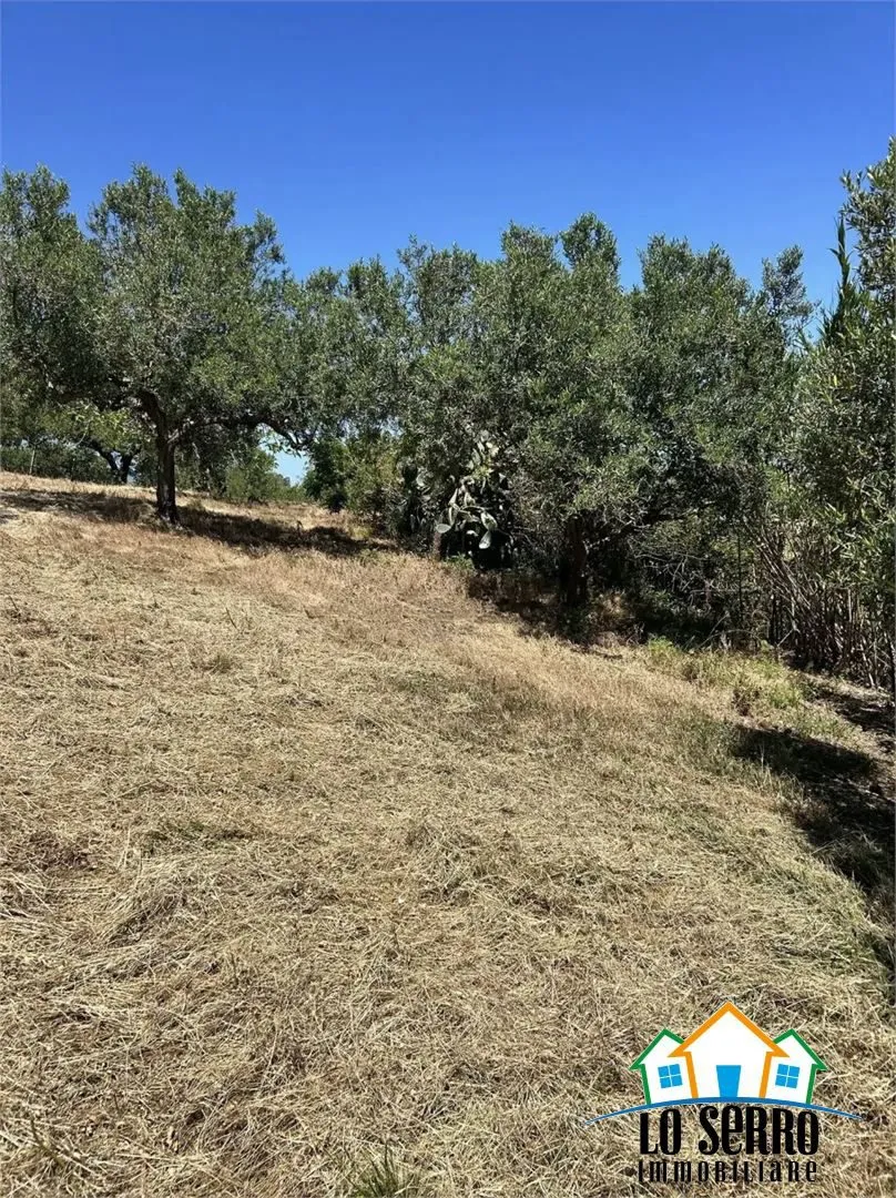 Rustico in vendita a Alcamo - foto 5