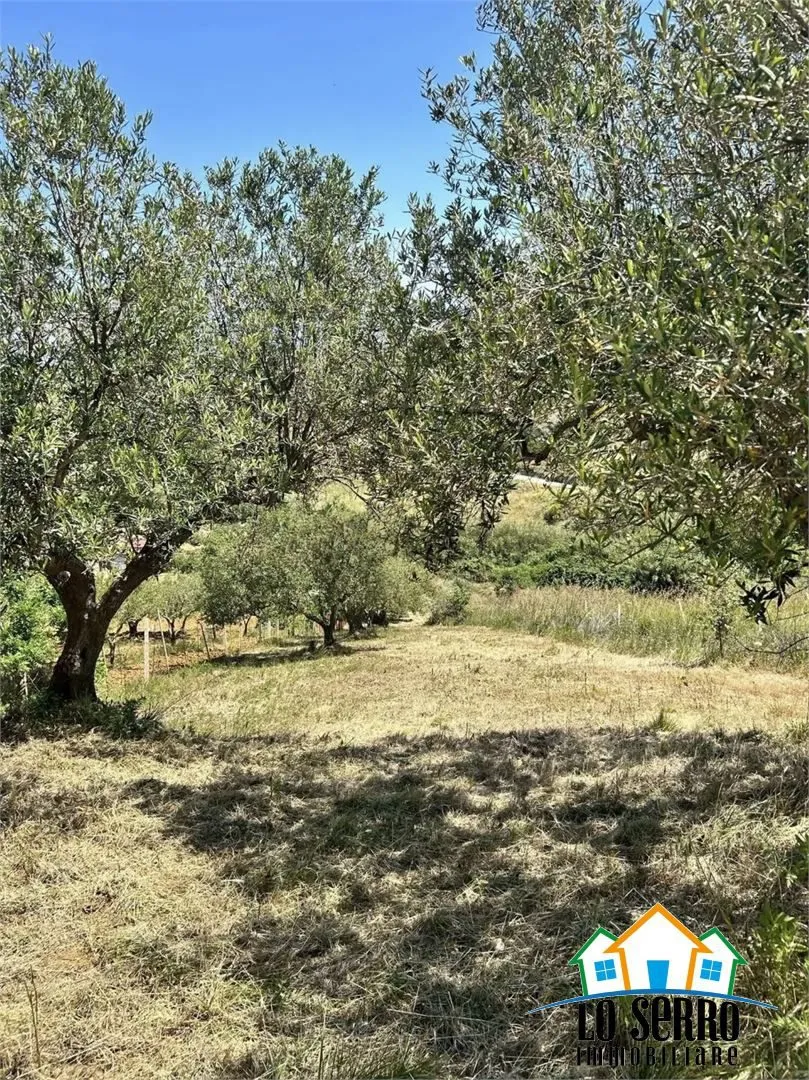 Rustico in vendita a Alcamo - foto 6