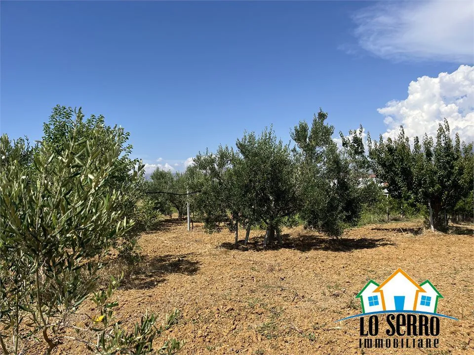 Rustico in vendita a Partinico - foto 4