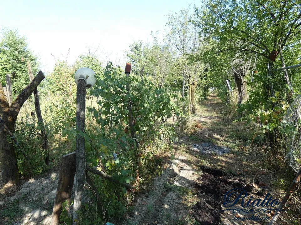 Rustico in vendita a Castelnuovo Don Bosco - Bardella - foto 4