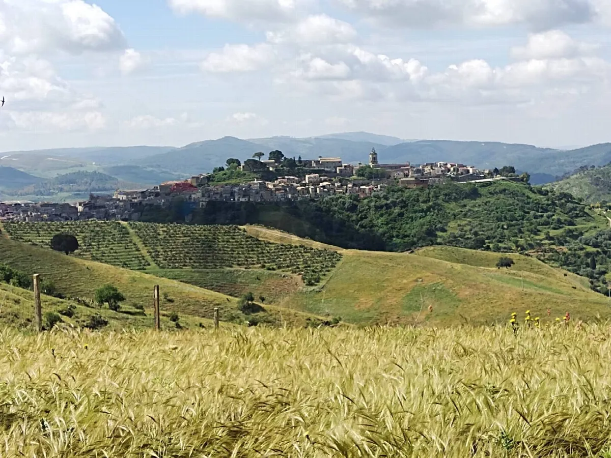 Villa o villino in vendita a Vizzini - foto 5