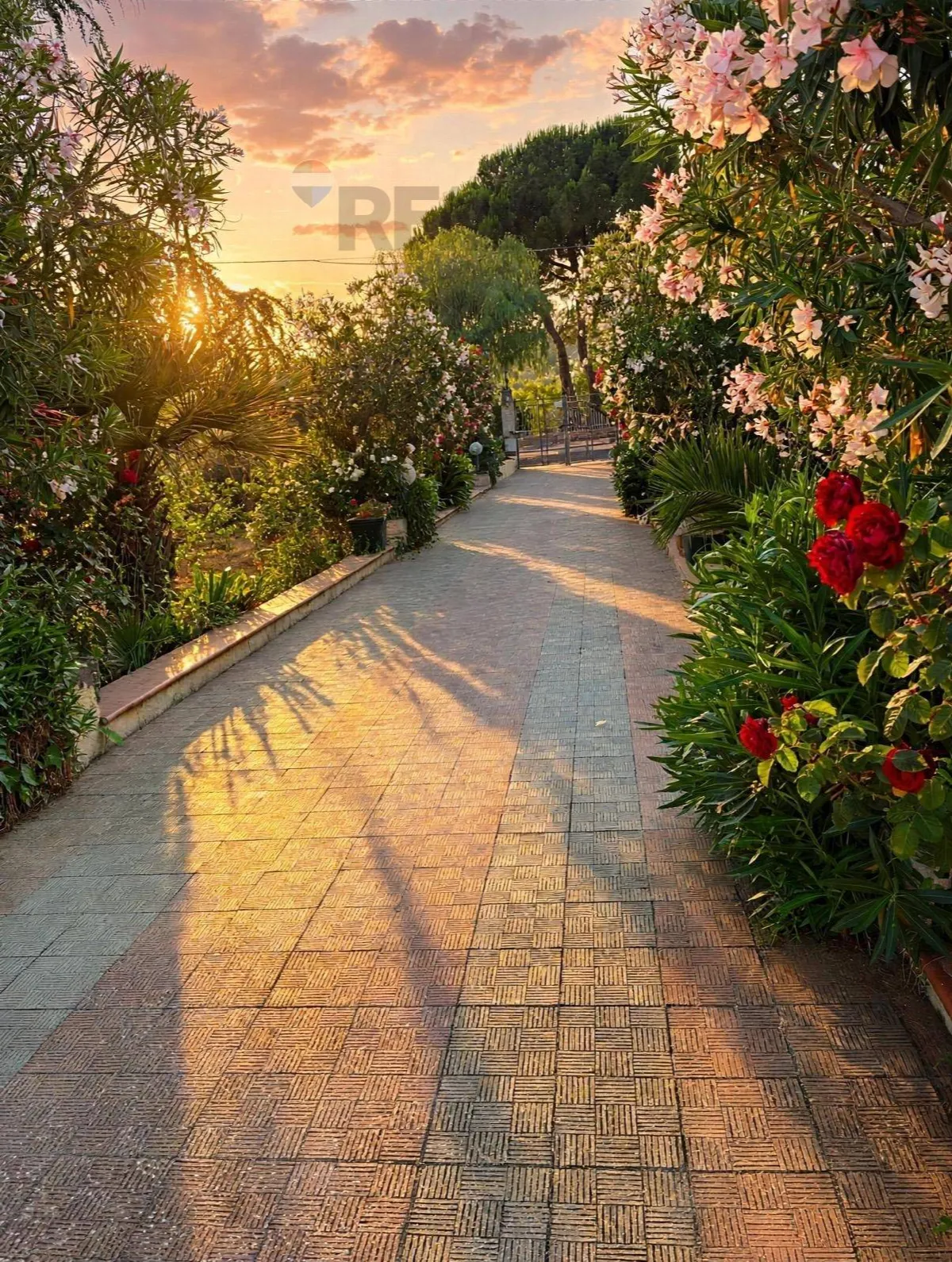 Villa singola in vendita a Caltagirone - foto 3