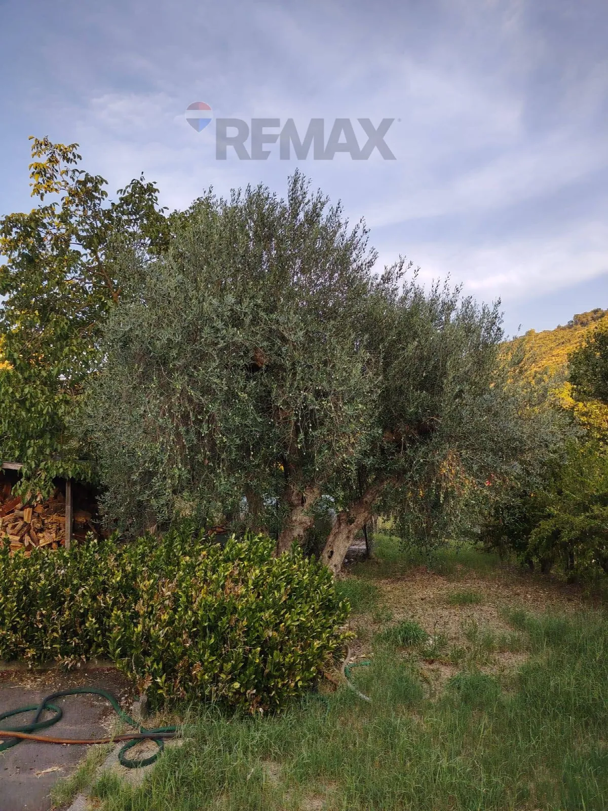 Villa singola in vendita a Piazza Armerina - foto 3