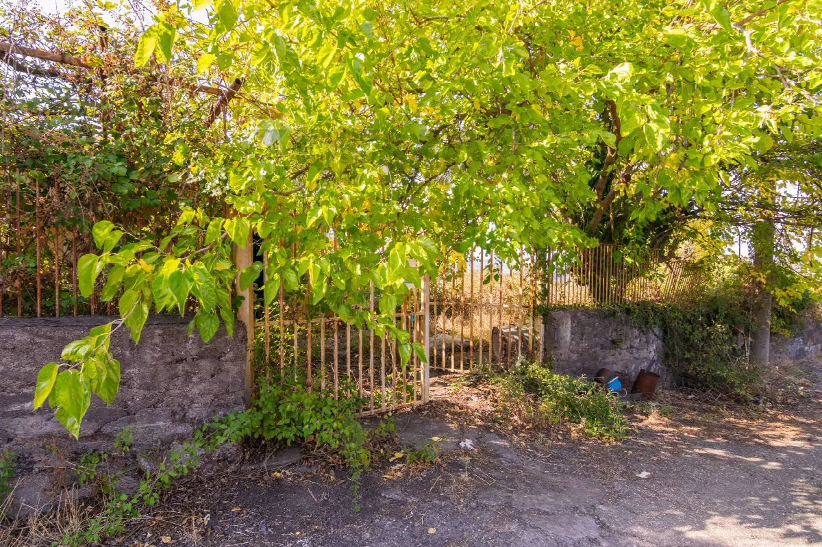 Villa singola in vendita a Linguaglossa - foto 2