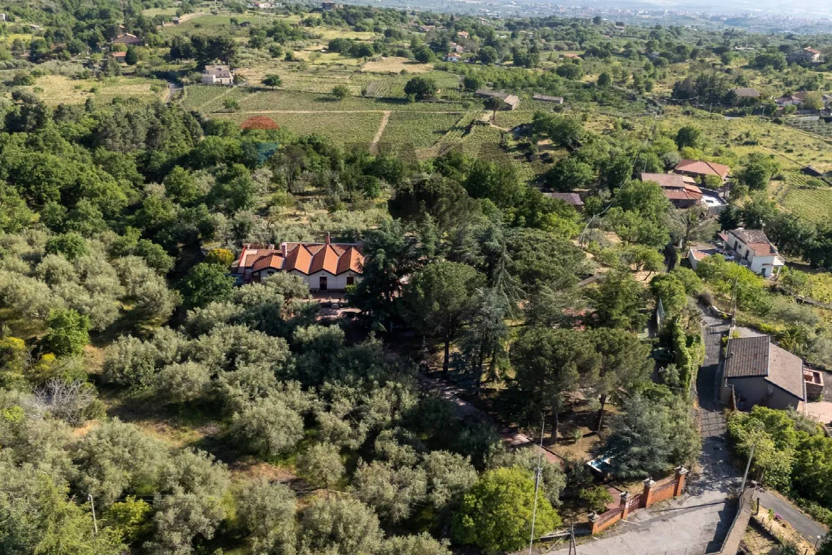 Villa singola in vendita a Biancavilla - foto 4