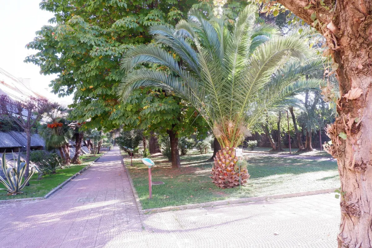 Appartamento in vendita a Caserta, Caserta 2 (Cerasola) - foto 1