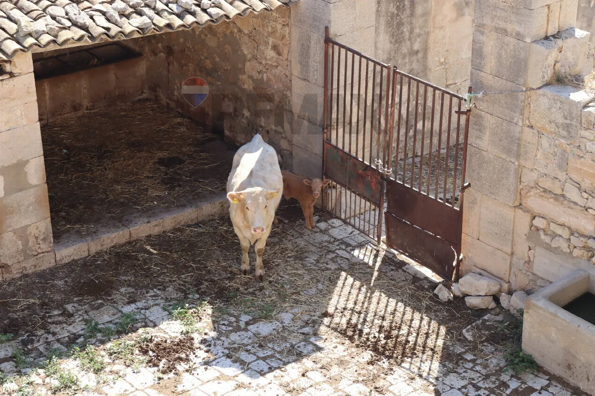 Cascina/Casale in vendita a Ragusa, Americhe - foto 8