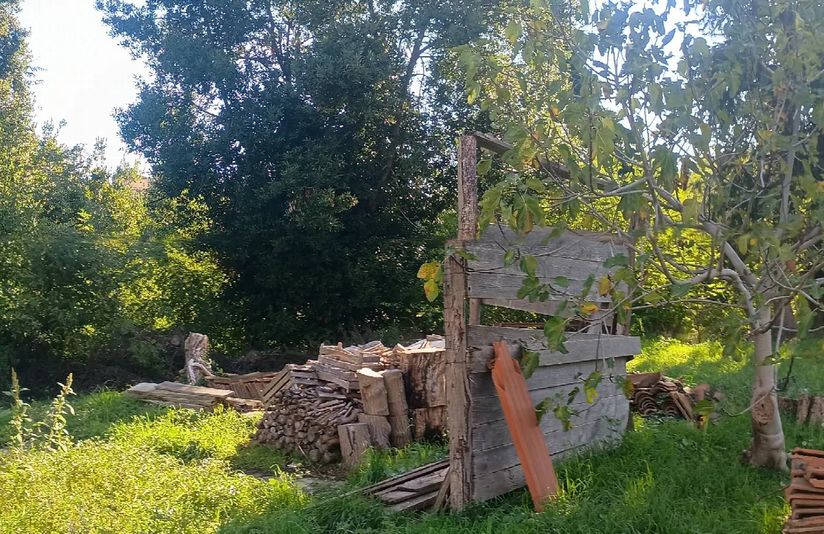 Rustico in vendita a Fauglia - foto 10