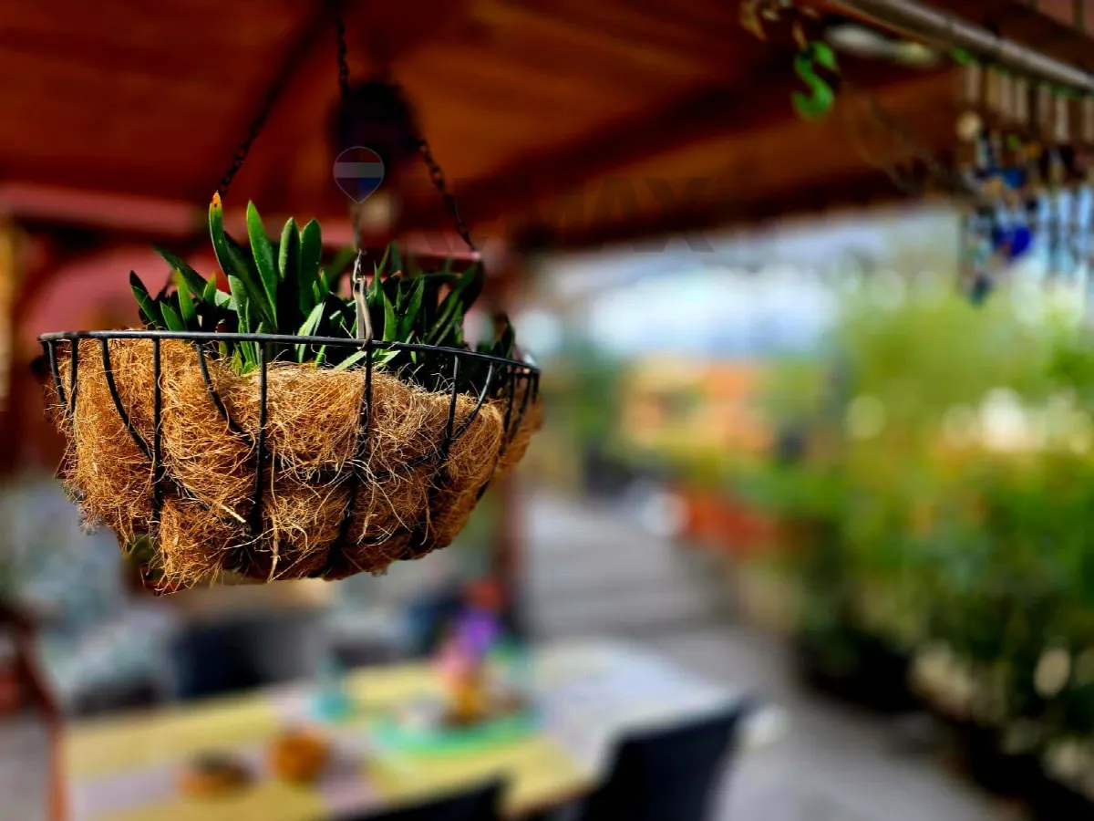 Appartamento in vendita a Rende - foto 2