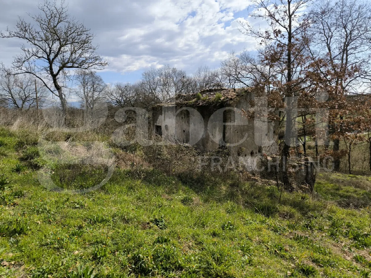 Rustico in vendita a Gallese - foto 2