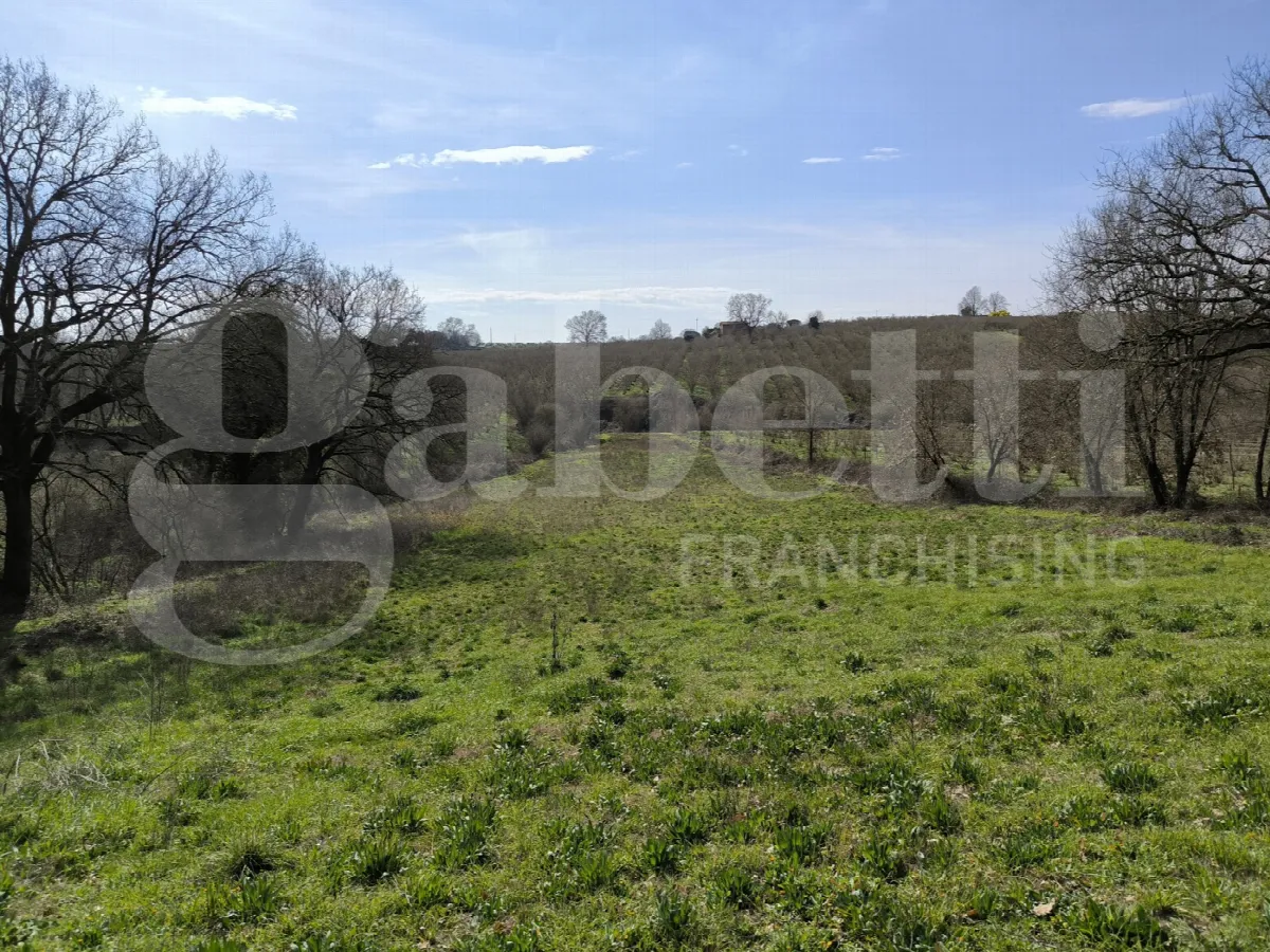 Rustico in vendita a Gallese - foto 3
