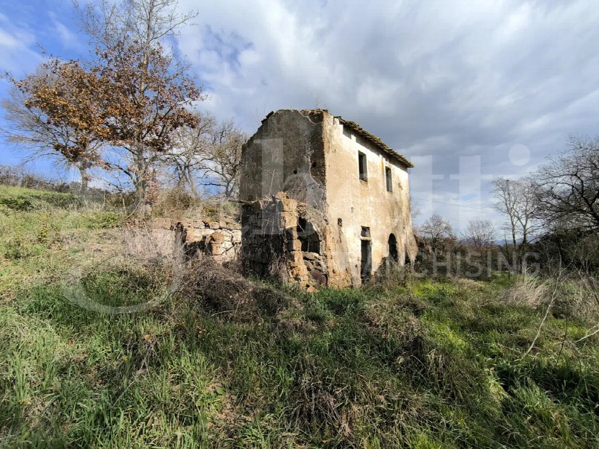 Rustico in vendita a Gallese - foto 4