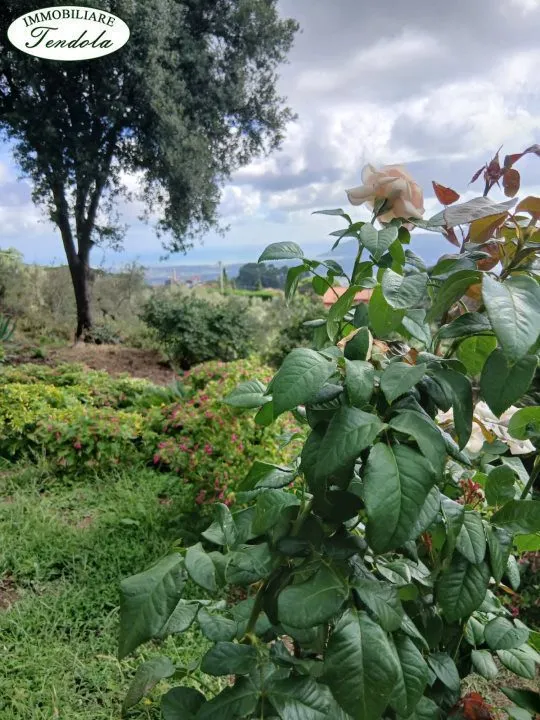 Rustico in vendita a Fosdinovo - foto 5
