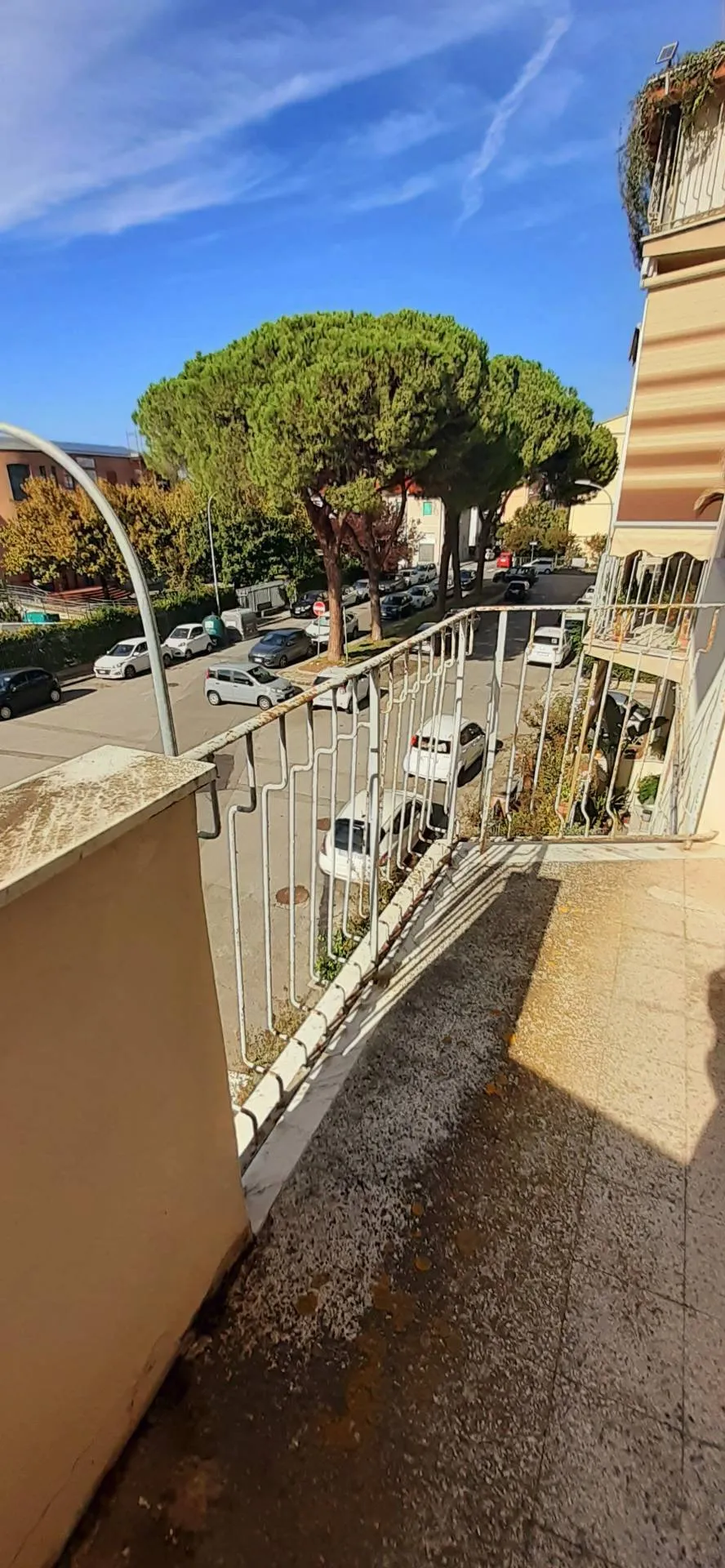 Appartamento in vendita a Pisa, Porta a Lucca - foto 4
