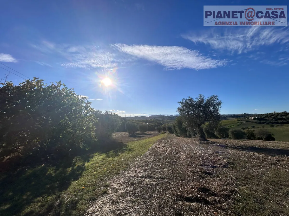Rustico + Terreno in vendita a Monsampolo del Tronto - foto 7