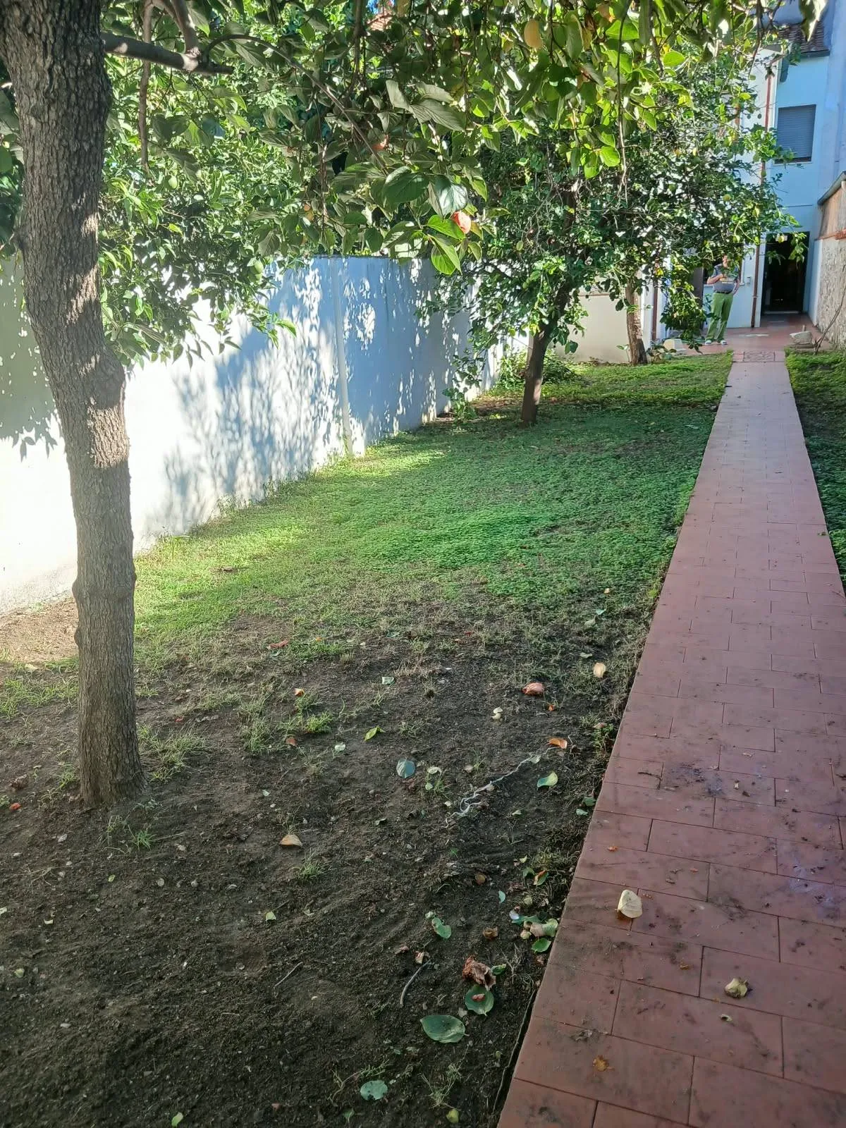 Casa semi indipendente in vendita a Viareggio, Centro - foto 2