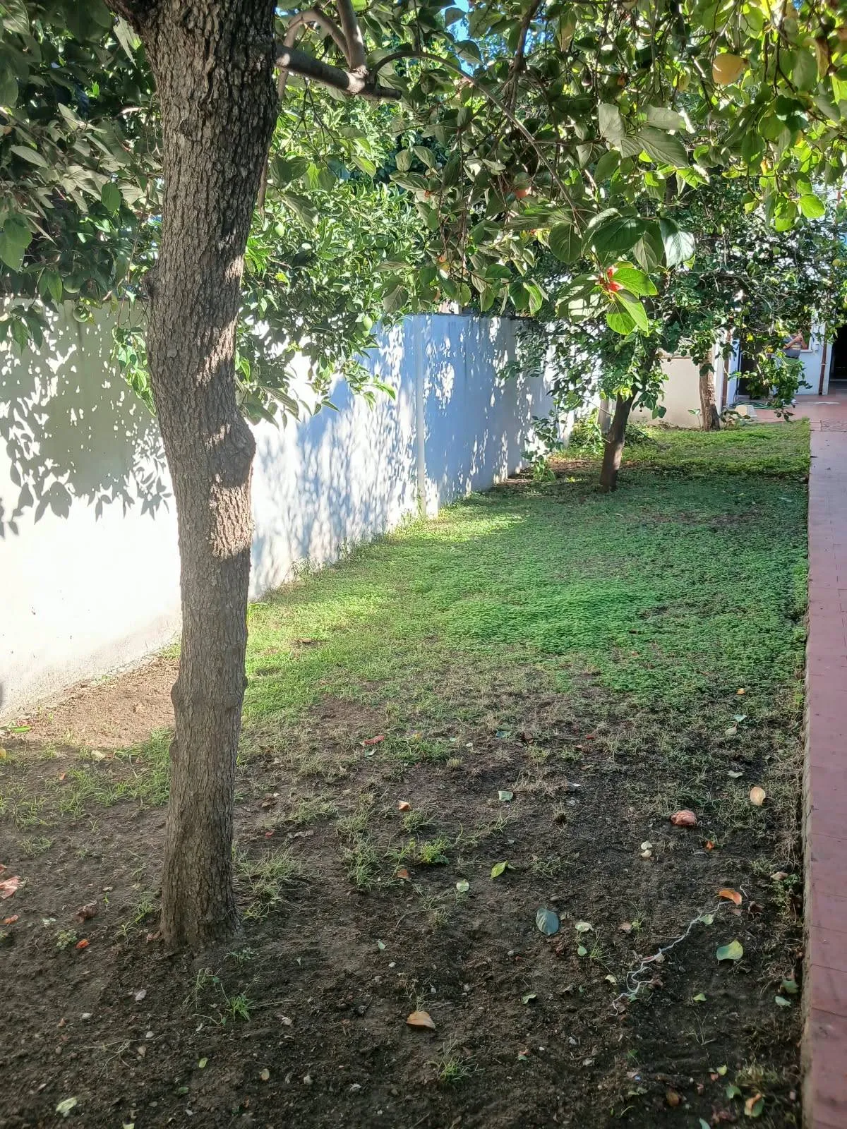 Casa semi indipendente in vendita a Viareggio, Centro - foto 3