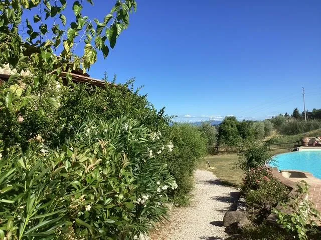 Appartamento in vendita a San Venanzo - Ripalvella - foto 9
