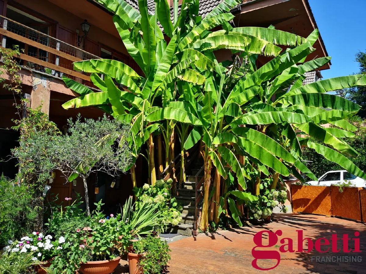 Casa bifamiliare in vendita a Formello - foto 5