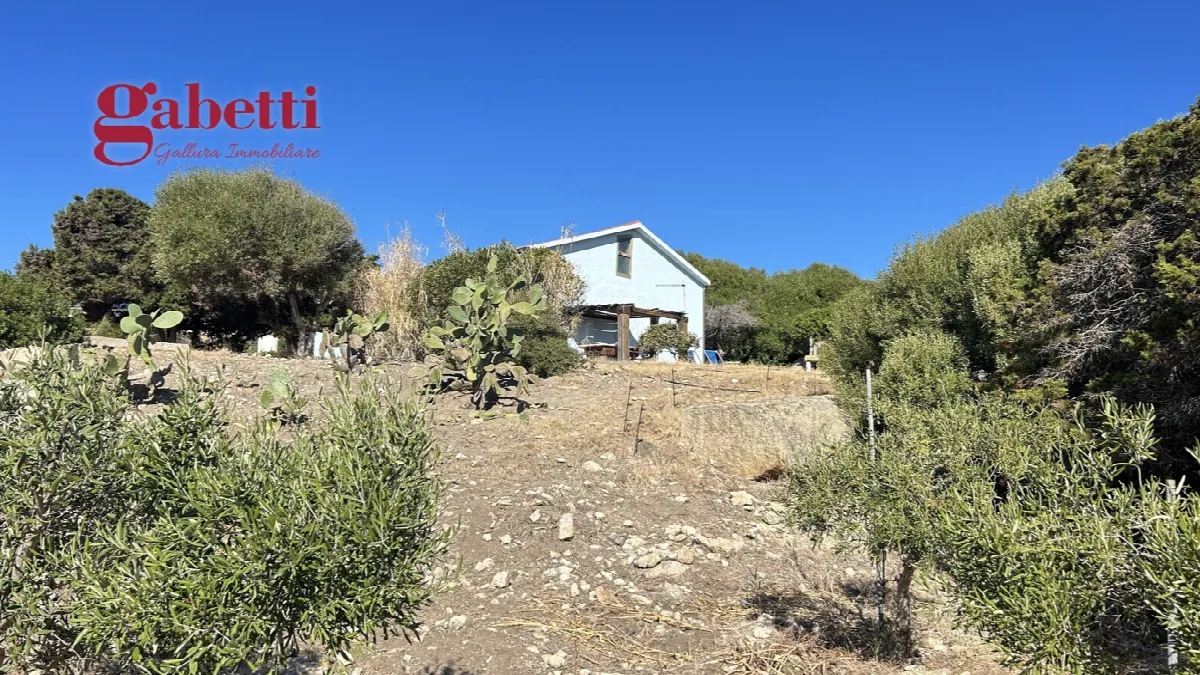 Villa in vendita a Santa Teresa Gallura - foto 6