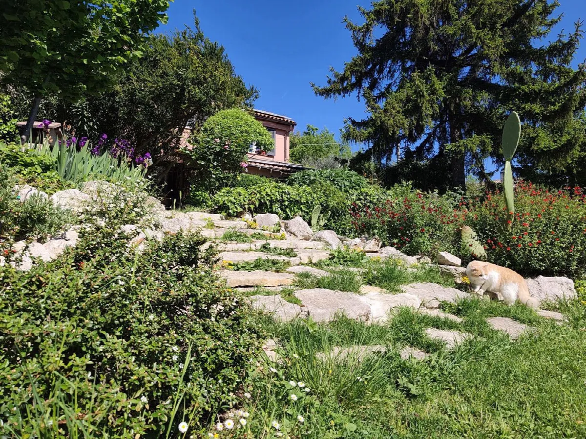 Villetta a schiera in vendita a Amelia - foto 7