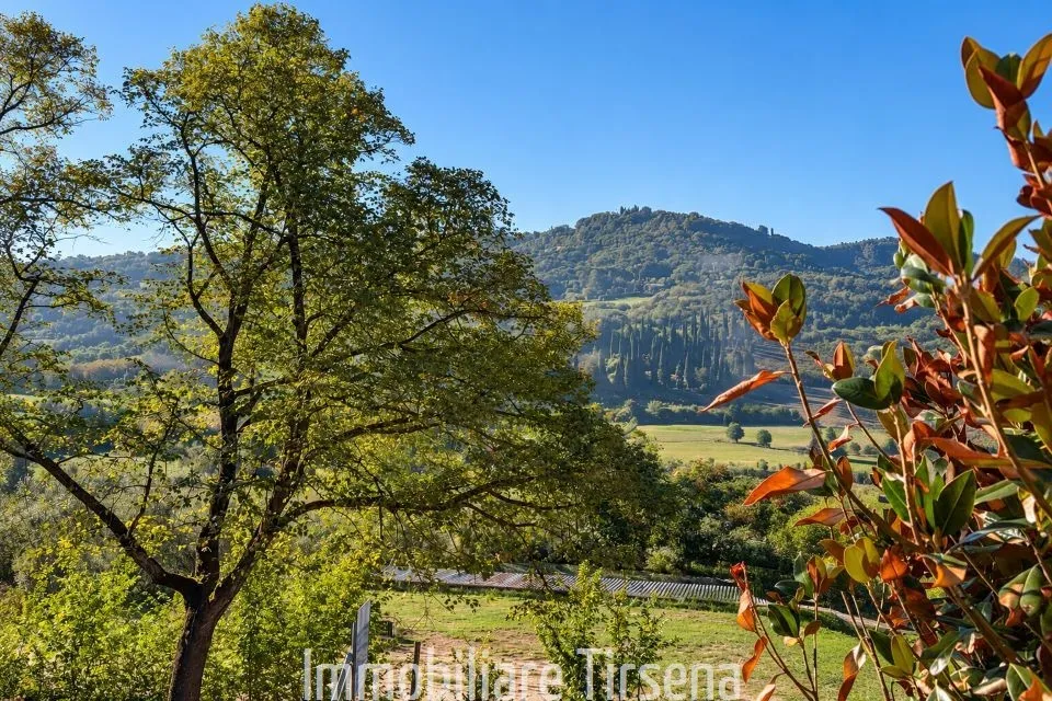 Casa indipendente in vendita a Orvieto - foto 2