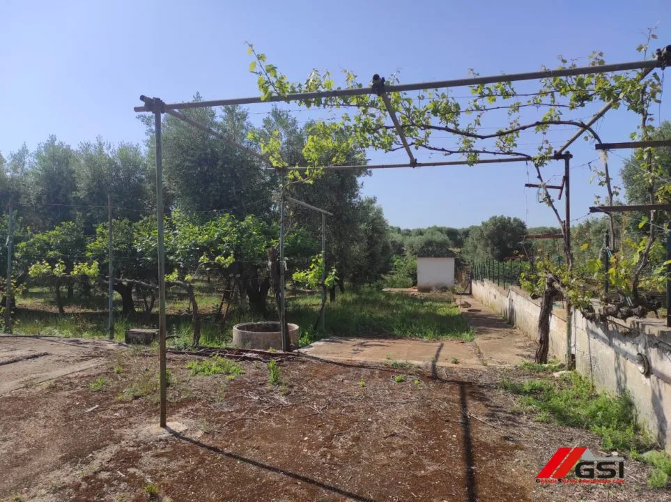 Rustico in vendita a Carovigno - foto 3