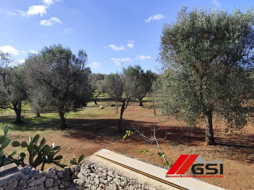 Rustico in vendita a Ceglie Messapica - foto 10