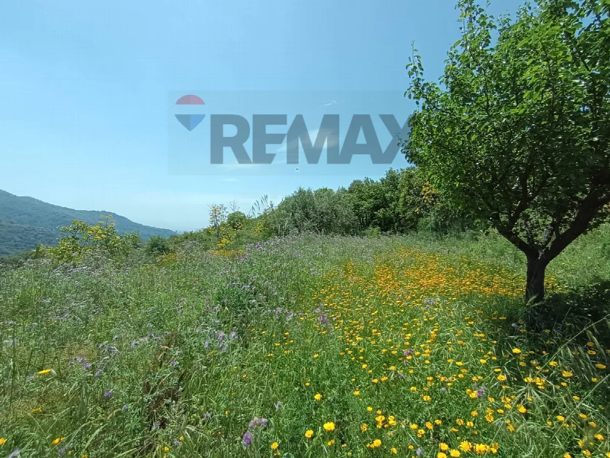 Rustico in vendita a Graniti - foto 7