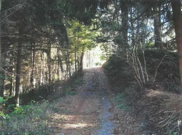 Rustico in vendita a Calizzano - foto 3
