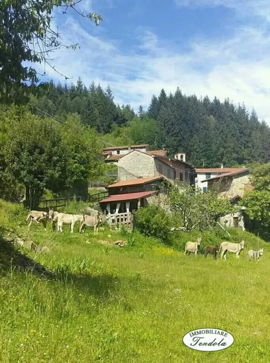 Loft in vendita a Fivizzano - Monzone Alto - foto 7