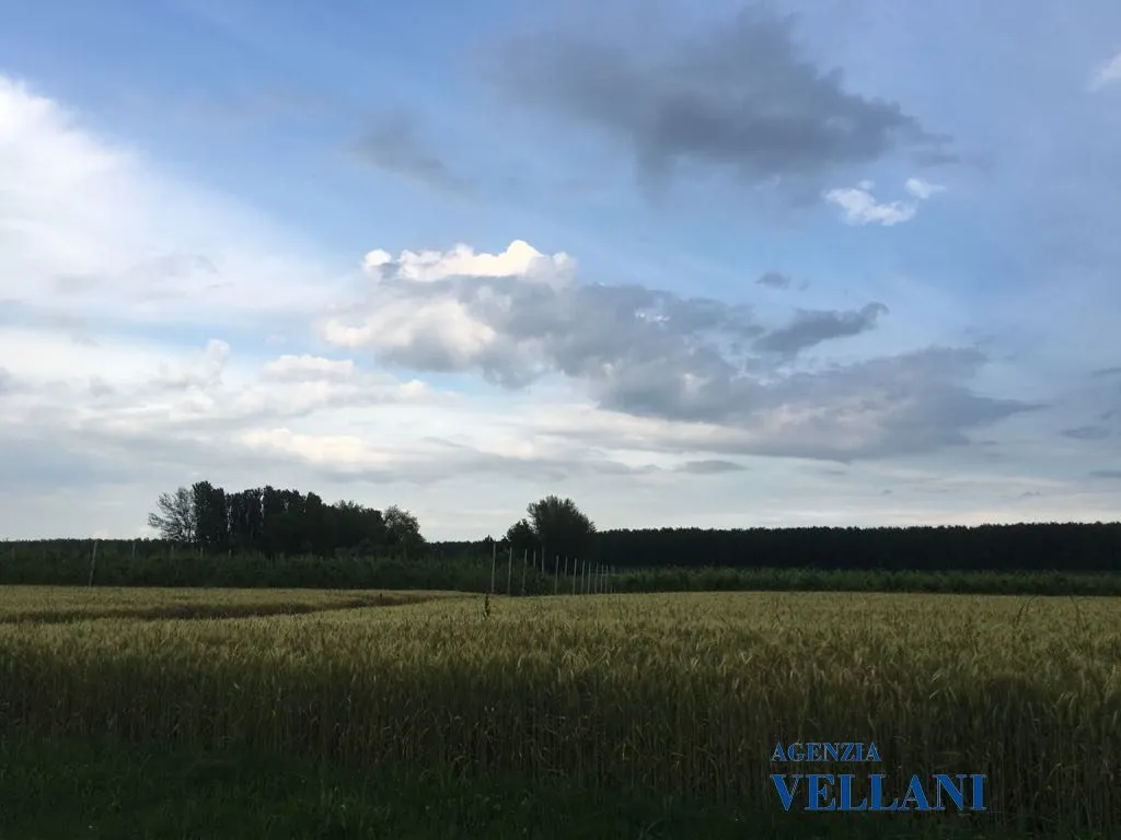 Villa in vendita a Carpi - foto 4