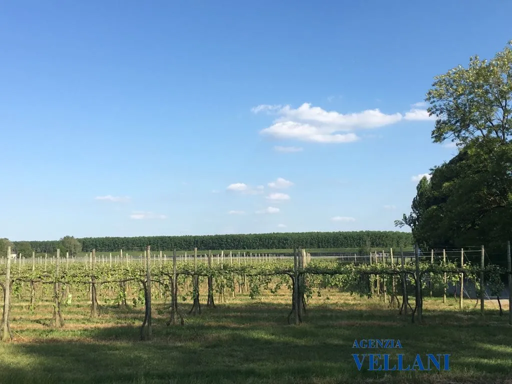 Villa in vendita a Carpi - foto 7