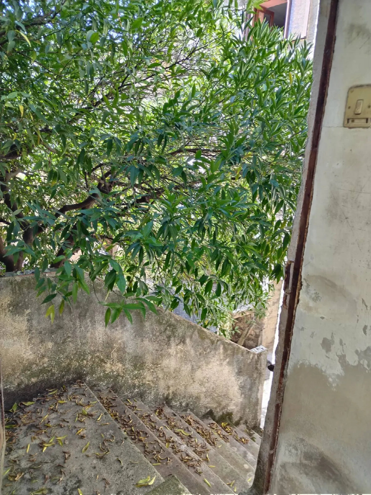 Appartamento indipendente in vendita a Roccagloriosa - foto 6