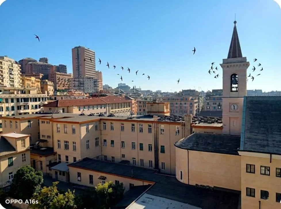 Appartamento in vendita a Genova, Sampierdarena - foto 2