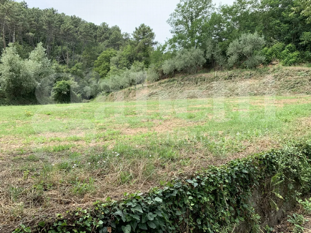 Rustico in vendita a Buti - foto 3